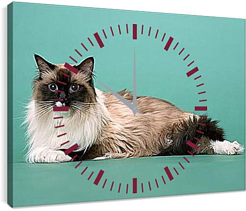Часы картина - Кошки