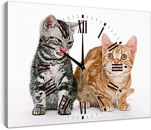 Часы картина - Котята друзья