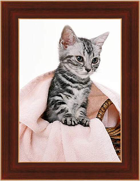 Картина в раме - Котенок под одеялом