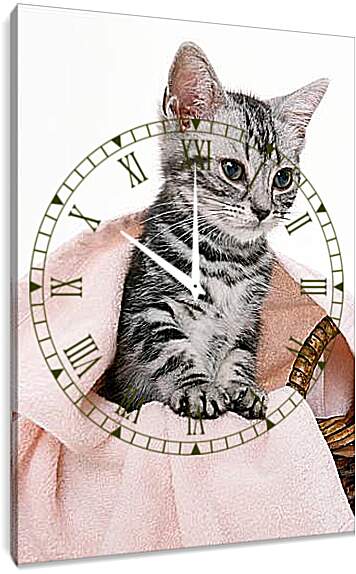 Часы картина - Котенок под одеялом