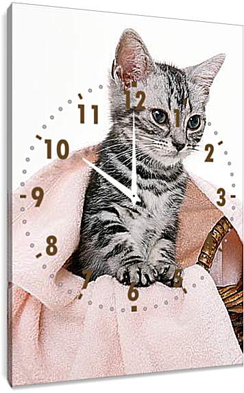 Часы картина - Котенок под одеялом