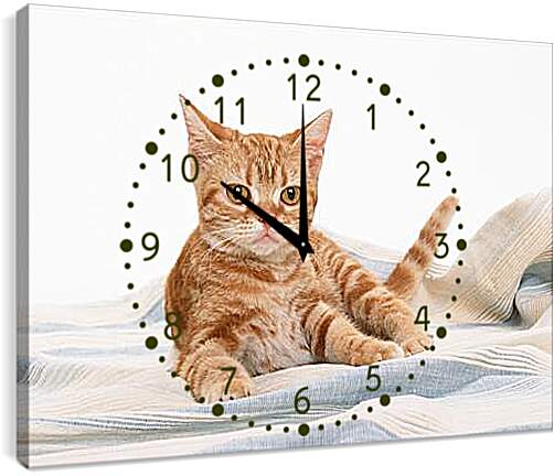 Часы картина - Рыжий кот