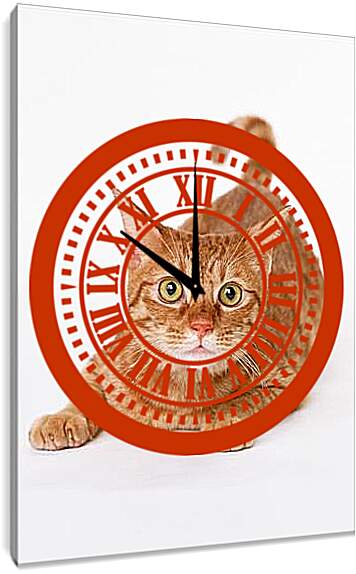 Часы картина - Рыжий кот