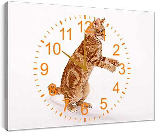 Часы картина - Рыжый кот на задних лапах