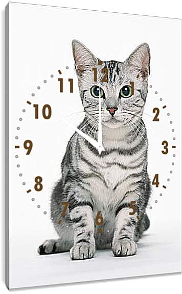 Часы картина - Глазастый кот