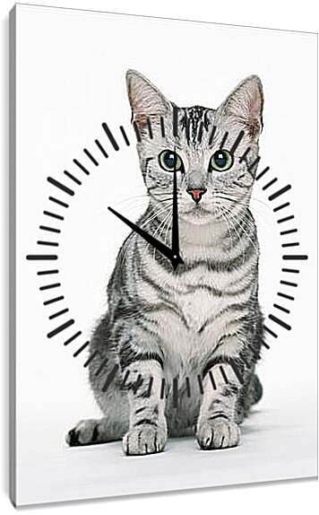 Часы картина - Глазастый кот