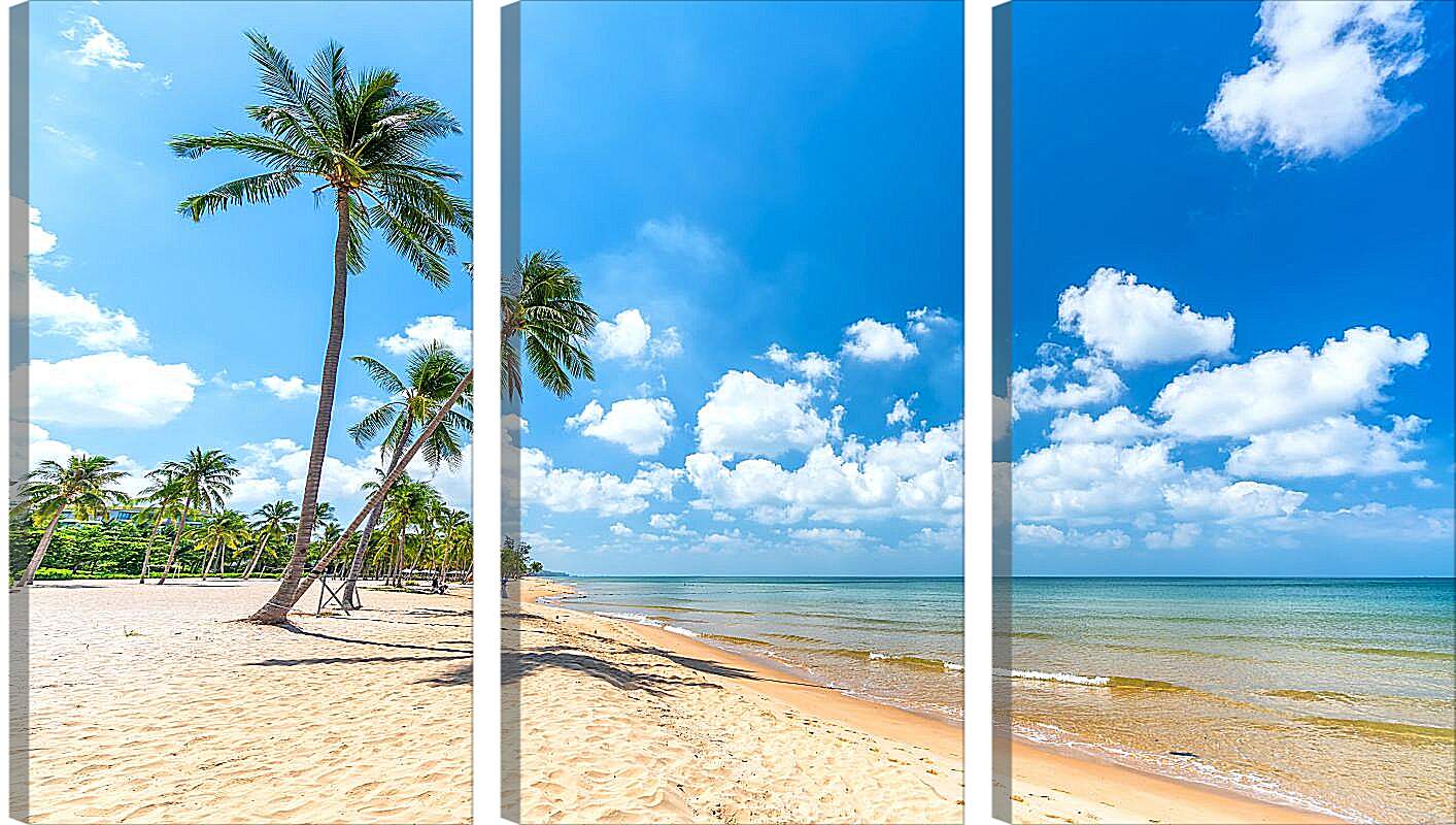 Модульная картина - Пальмы растущие на пляже