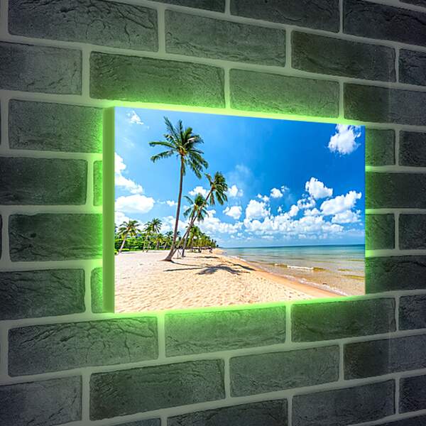 Лайтбокс световая панель - Пальмы растущие на пляже