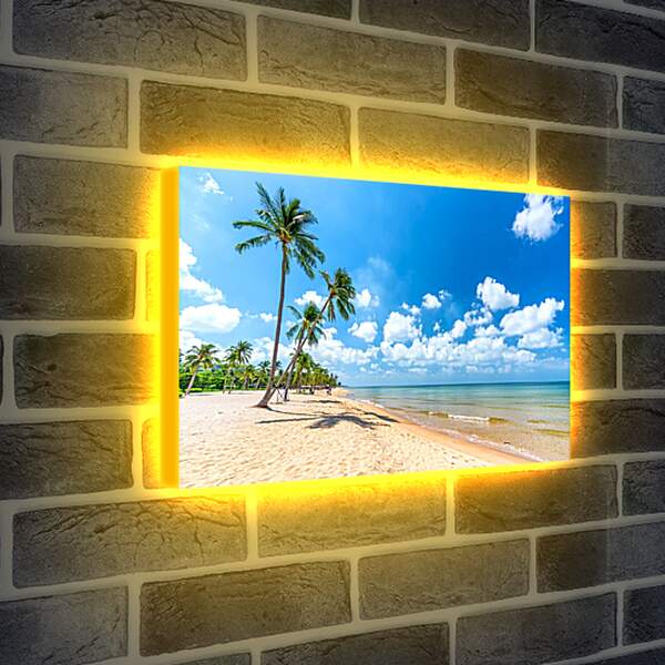 Лайтбокс световая панель - Пальмы растущие на пляже
