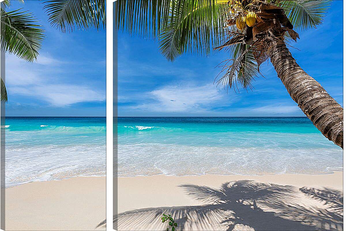 Модульная картина - Райский пляж под пальмами