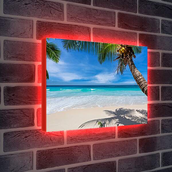 Лайтбокс световая панель - Райский пляж под пальмами