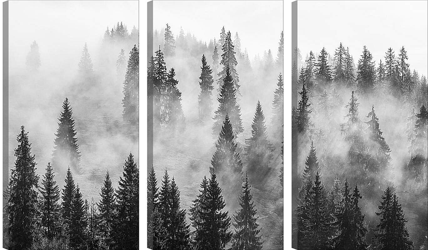 Модульная картина - Лес в зимнем тумане