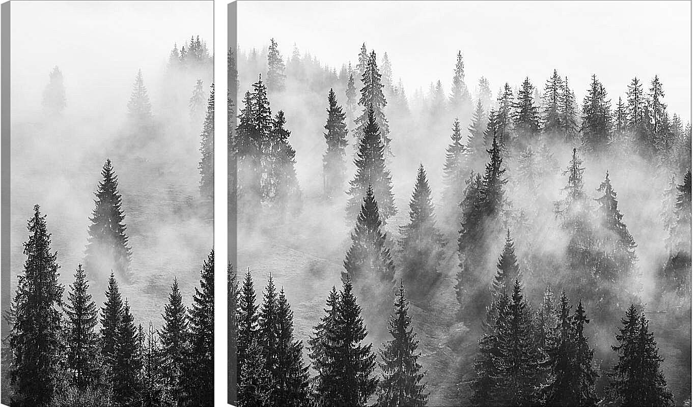 Модульная картина - Лес в зимнем тумане