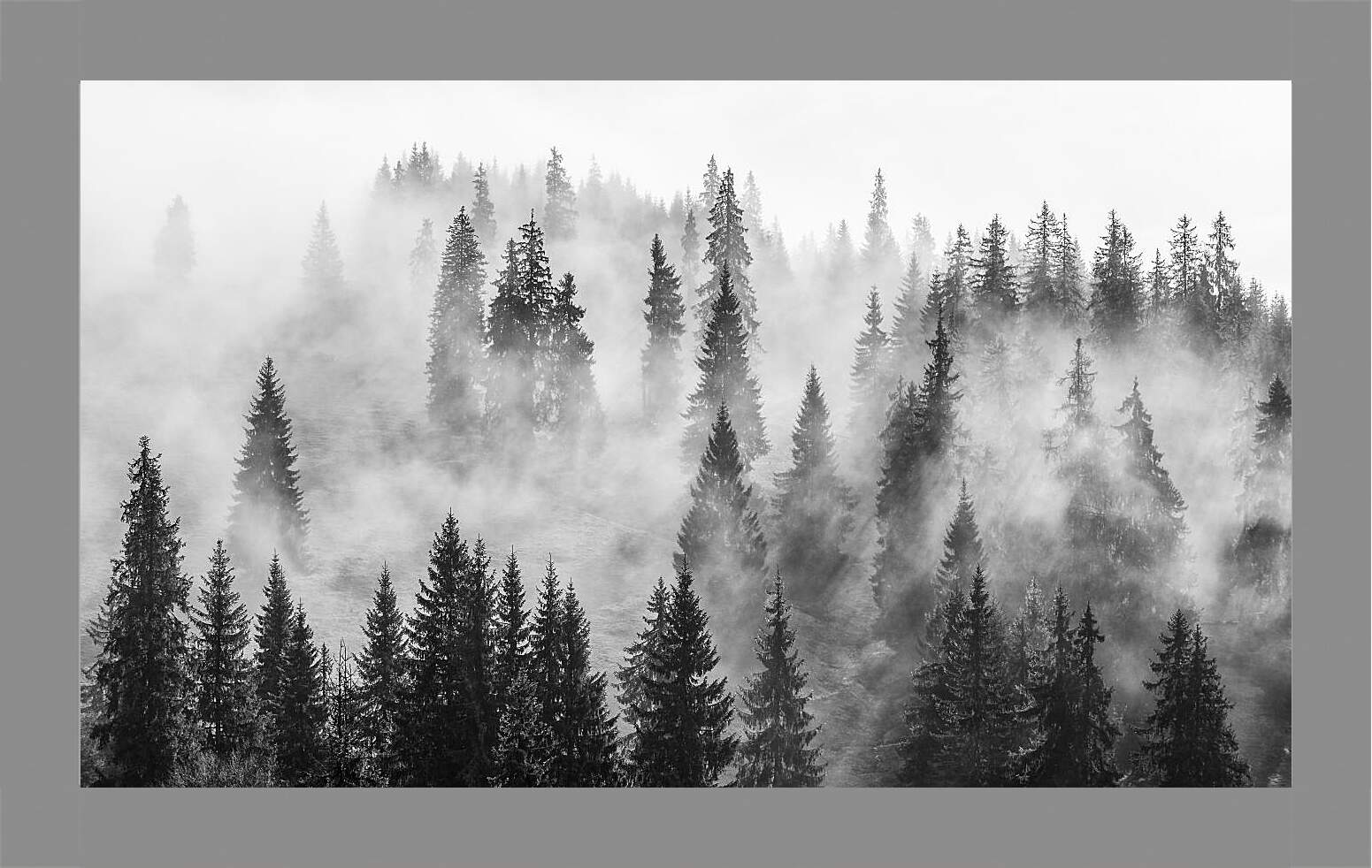Картина в раме - Лес в зимнем тумане
