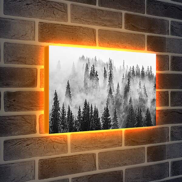 Лайтбокс световая панель - Лес в зимнем тумане