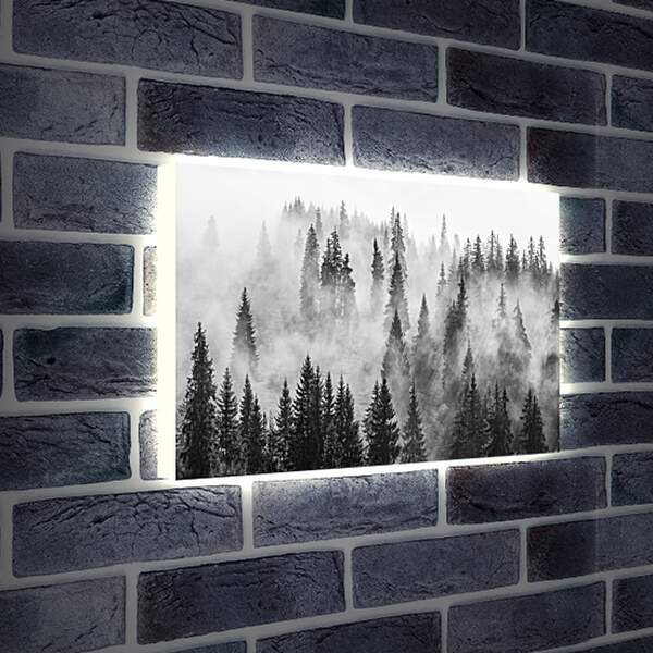 Лайтбокс световая панель - Лес в зимнем тумане
