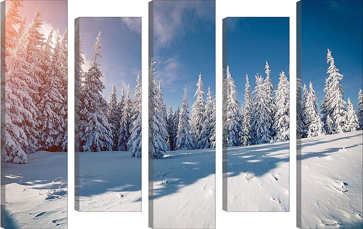 Модульная картина - Хвойный лес в снегу