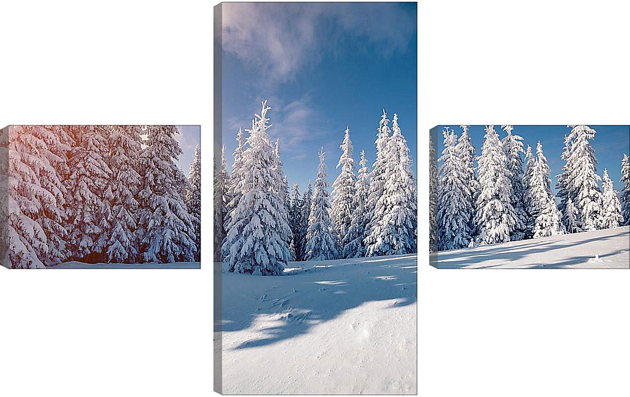 Модульная картина - Хвойный лес в снегу