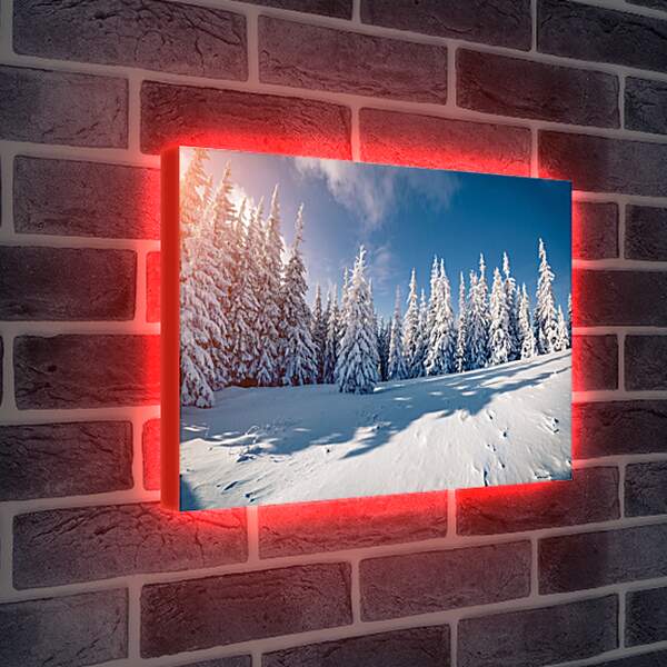 Лайтбокс световая панель - Хвойный лес в снегу