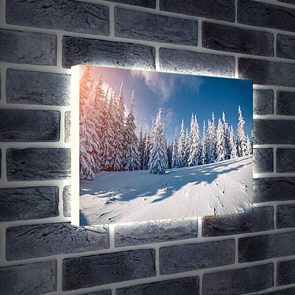 Лайтбокс световая панель - Хвойный лес в снегу