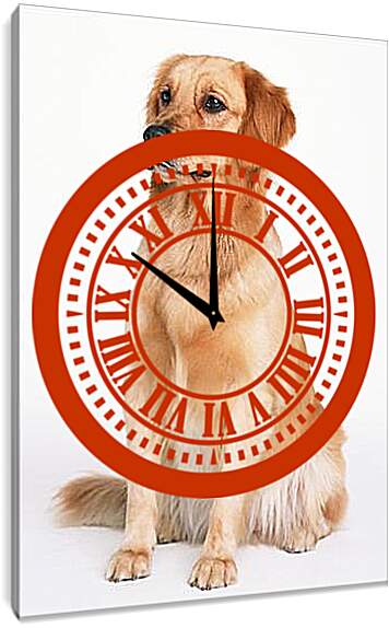 Часы картина - Лобрадор