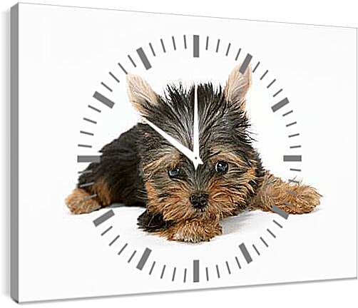 Часы картина - Маленькая собачка