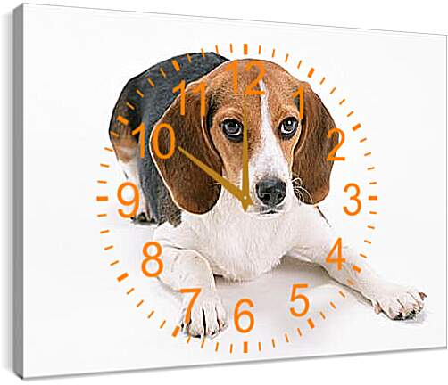 Часы картина - Охотничья собака