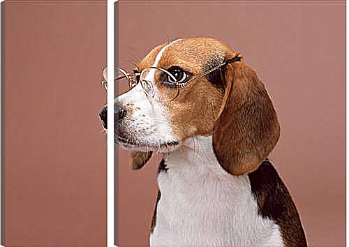 Модульная картина - Собака в очках