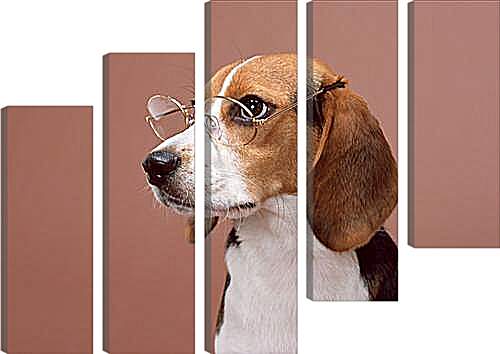Модульная картина - Собака в очках