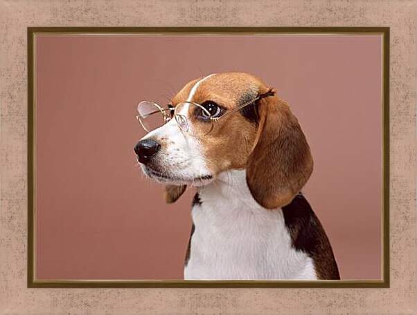 Картина в раме - Собака в очках