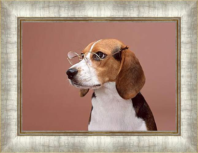 Картина в раме - Собака в очках