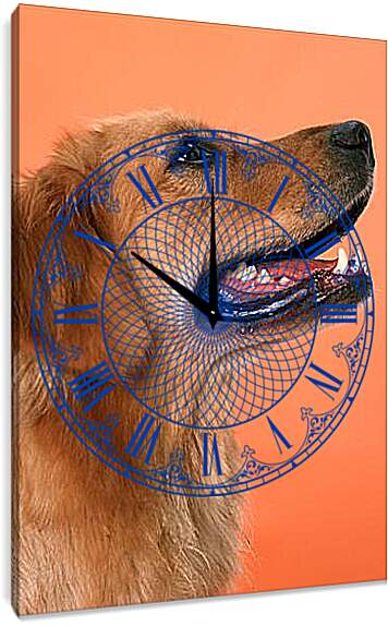 Часы картина - Лобрадор