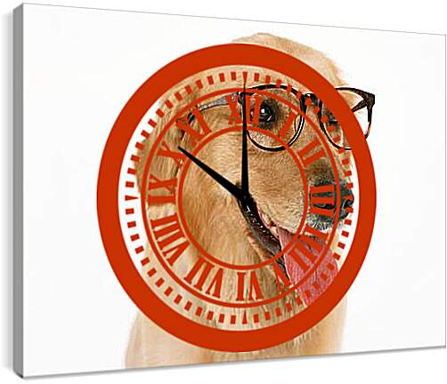 Часы картина - Лобрадор в очках