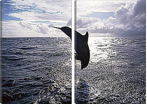 Модульная картина - Дельфины