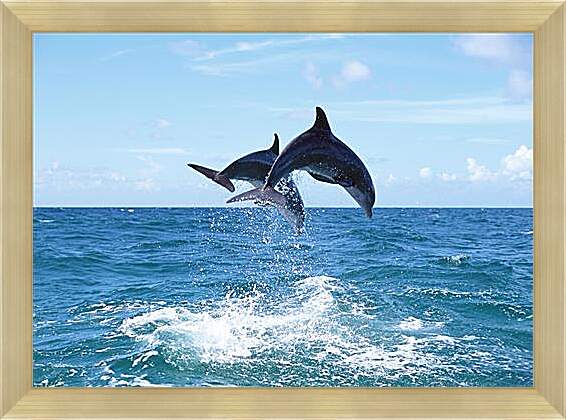 Картина в раме - Дельфины