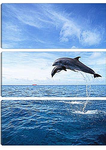 Модульная картина - Дельфины