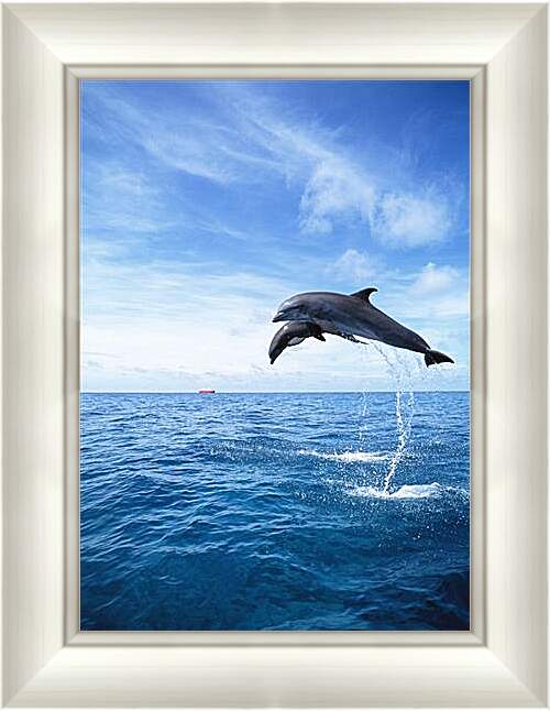 Картина в раме - Дельфины