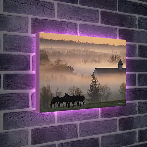 Лайтбокс световая панель - Лошади в деревне