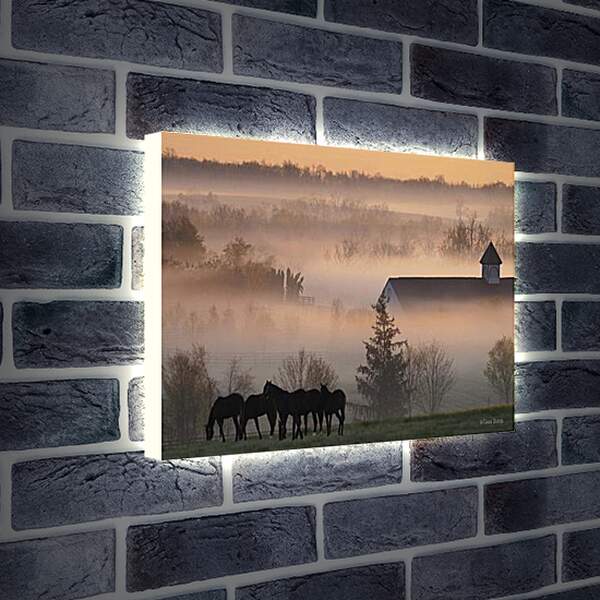 Лайтбокс световая панель - Лошади в деревне