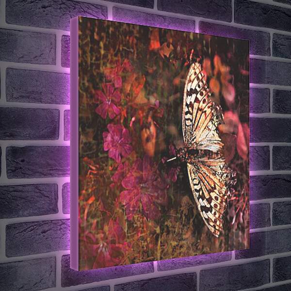 Лайтбокс световая панель - Панно с бабочкой