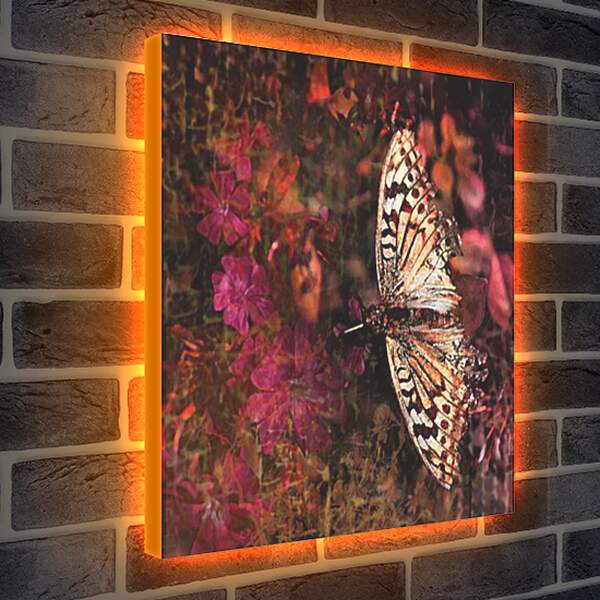 Лайтбокс световая панель - Панно с бабочкой