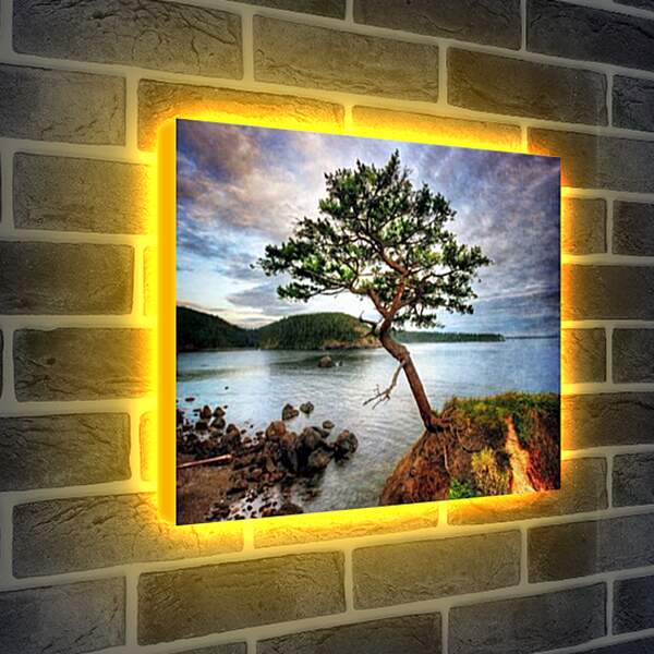 Лайтбокс световая панель - Островок природы