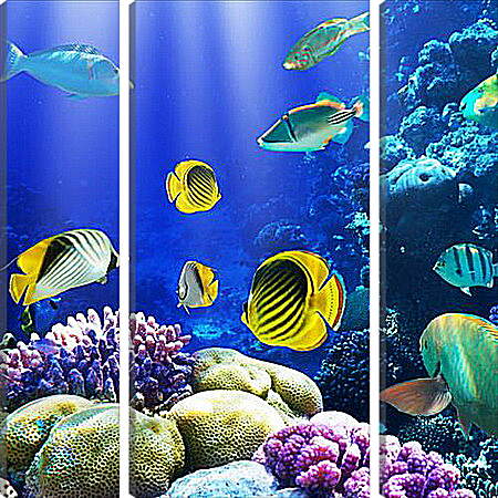 Модульная картина - Разноцветные рыбки