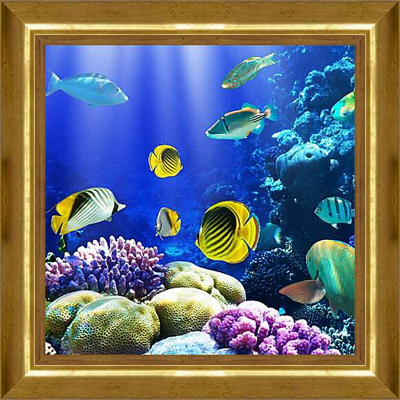 Картина в раме - Разноцветные рыбки