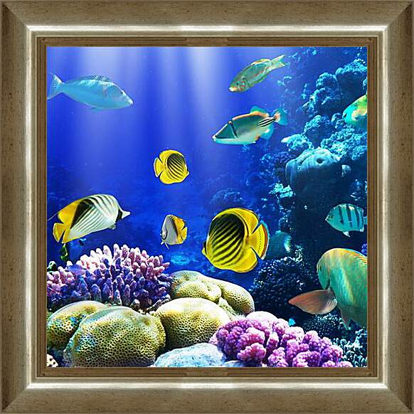Картина в раме - Разноцветные рыбки