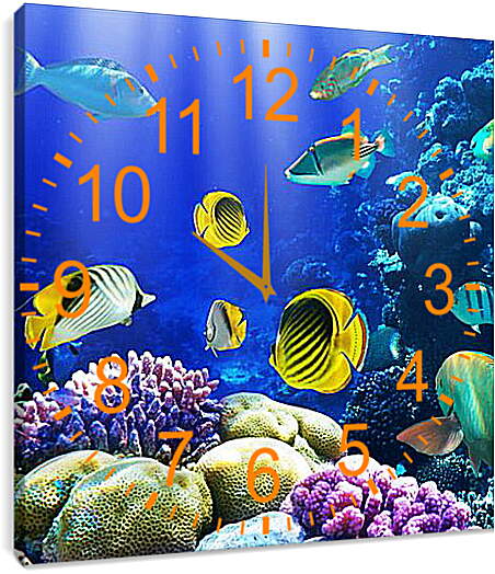 Часы картина - Разноцветные рыбки