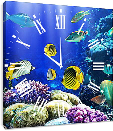 Часы картина - Разноцветные рыбки