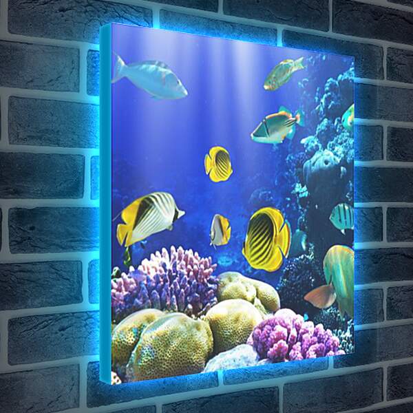 Лайтбокс световая панель - Разноцветные рыбки