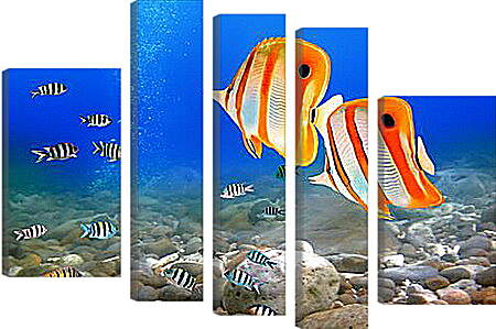 Модульная картина - Коралловые рыбки