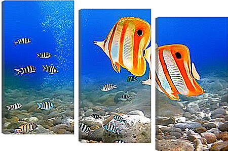 Модульная картина - Коралловые рыбки